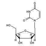 尿嘧啶核苷