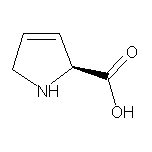 3,4-脫氫-L-脯氨酸