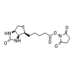 5-[(3aS,4S,6aR)-2-氧代六氫-1H-噻吩并[3,4-d]咪唑-4-基]戊酸(2,5-二氧代-1-吡咯烷基)酯