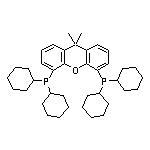4,5-二(二環(huán)己基膦基)-9,9-二甲基-9H-氧雜蒽