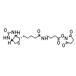 Biotin-丁氨酸-NHS