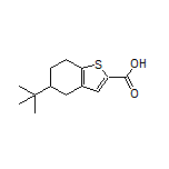 5-(叔丁基)-4,5,6,7-四氫苯并噻吩-2-甲酸
