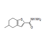5-甲基-4,5,6,7-四氫苯并噻吩-2-甲酰肼