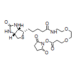 (+)-生物素-PEG2-琥珀酰亞胺酯