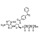 3’-O-(4-苯甲?；?苯甲酰基腺苷 5’-三磷酸酯