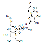 尿苷-5’-二磷酸-N-乙酰基疊氮基半乳糖胺二鈉鹽