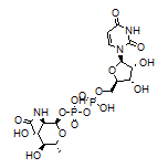 UDP-D-QuiNAc