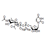 UDP-D-diNAcBac